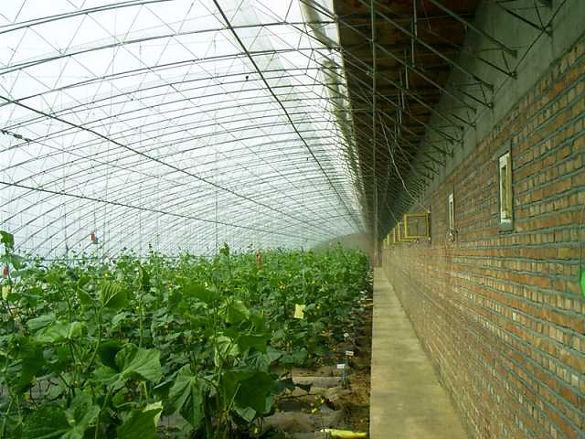 智能溫室價格|智能溫室使用|壽光智能溫室|山東智能溫室大棚