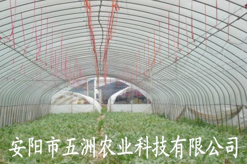 大棚骨架建設 大棚骨架機視頻 代理大棚骨架機