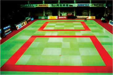 國(guó)標(biāo)摔跤墊/{sx}前進(jìn)科研400-602-6456