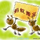 特優長沙天心區搬家公司|天心區哪里有搬家公司|長沙搬家