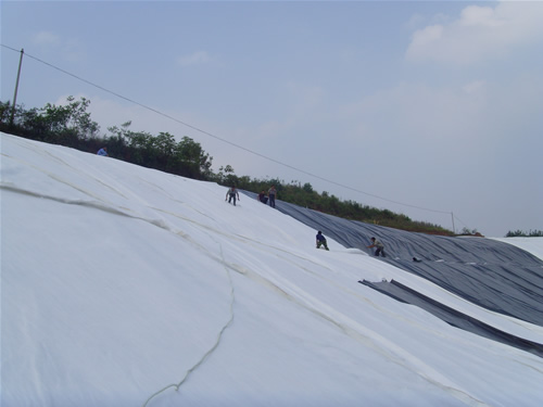 鞍山市防滑防滲膜{zx1}出廠價格,山東陵縣防滑防滲膜生產(chǎn)基地