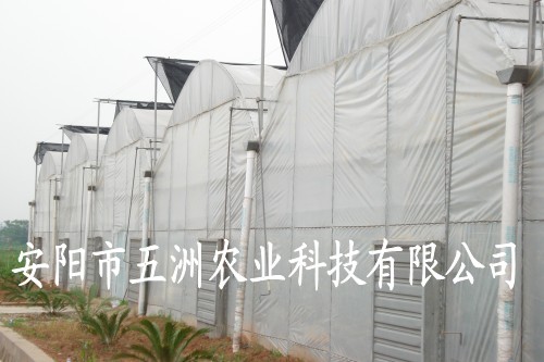 无支柱大棚建设 塑料大棚支架 复合材料大棚