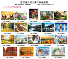 全景奇畫培訓，蘭州三維立體畫批發，甘肅立體畫培訓
