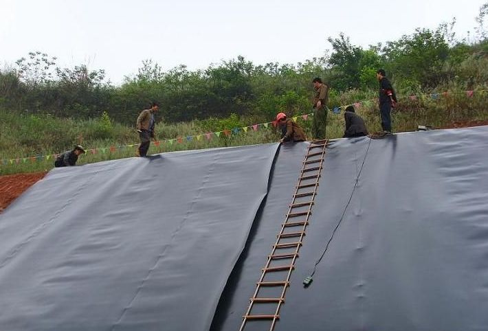 供應(yīng)陵縣夏金海2元土工格室價格廠家，質(zhì)量好