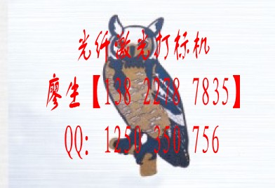 江門(mén)鑰匙扣激光打標(biāo)機(jī)，珠海開(kāi)關(guān)拉絲面板激光打標(biāo)機(jī)