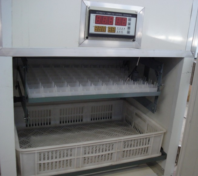 供應(yīng)多種高品質(zhì)的德陽(yáng)孵化機(jī)*四川德陽(yáng)自動(dòng)孵化設(shè)備*孵化機(jī)