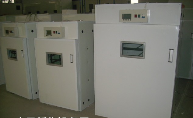 供應多種高品質的廈門孵化機￥孵化設備*全自動孵化機