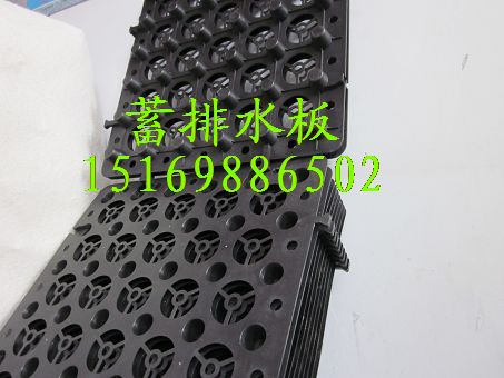 供應(yīng)排水板價格屋頂排水板，屋面種植HDPE蓄排水板15169886502