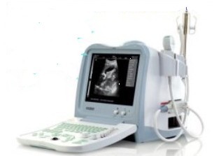 武漢武漢智達儀器供應獸用KX5200全數字Ｂ型超聲診斷儀，獸用B超KX5200型，國產獸用B超