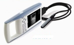 武漢武漢智達儀器供應獸用KX5200全數字Ｂ型超聲診斷儀，獸用B超KX5200型，國產獸用B超