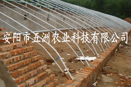 雙梁?jiǎn)瘟轰摴苠兯艽笈?養(yǎng)殖鍍塑大棚 大棚骨架機(jī)
