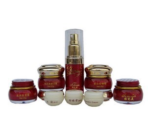 祛斑雅wm護膚品套裝 白里透紅雅wm 雅wm套裝 
