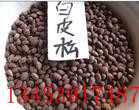 白皮松種子，白皮松種子價(jià)格，山西白皮松種子
