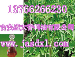 廠家大量供應(yīng)薄荷油、薄荷素油