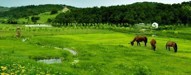 莊主旅游中秋迷情孝感天紫湖