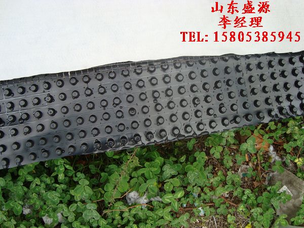 復(fù)合排水板選山東盛源”“蓄排水板”復(fù)合排水板選山東盛源15805385945