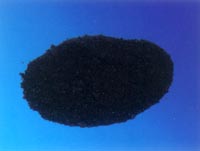 化學(xué)法柱狀活性炭專家 鞏義專業(yè)過濾器材