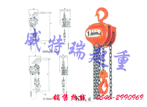 懸掛環(huán)鏈電動(dòng)葫蘆|固定式電動(dòng)葫蘆|威特瑞一級(jí)產(chǎn)品
