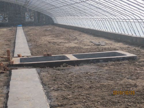青州新型智能溫室供應連棟溫室大棚建設，塑料連棟溫室大棚，連棟智能溫室大棚