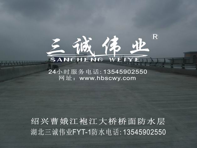 直销公路桥面fyt-1桥面防水涂料