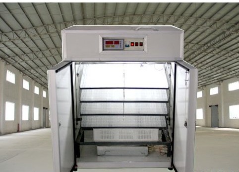 供應(yīng)德陽(yáng)孵化機(jī) 全自動(dòng)孵化機(jī) 德陽(yáng)微電腦孵化設(shè)備 孵化器 