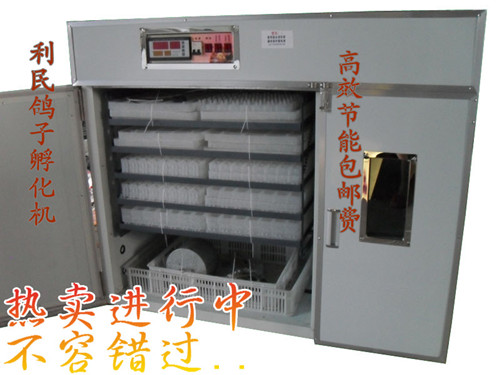熱賣福建天鵝孵蛋機(jī)器/詔安鵝孵蛋箱/利民孵化設(shè)備中心