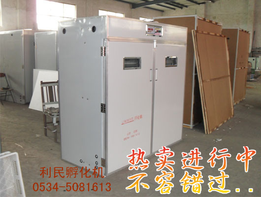 鴿子孵化器/鴿子專用孵化器/節(jié)能鴿子孵化器/利民全國送貨
