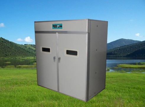 可以孵化800個雞蛋、鴨蛋孵化機 800鵝蛋全自動孵化機孵化設備