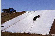 供應垃圾填埋專用土工膜 防水板公司掛牌上市成功
