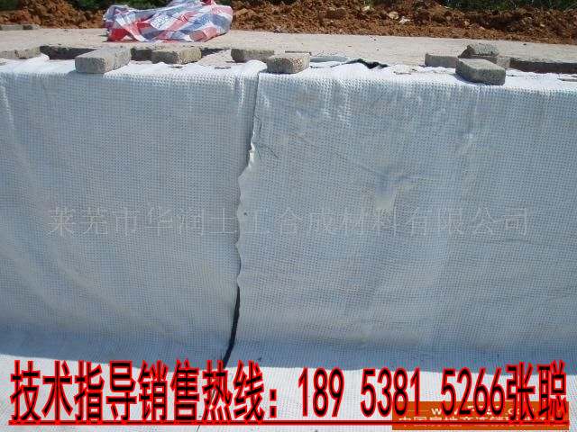 普通鈉基膨潤土防水毯(墊)|鈉基膨潤土防水毯施工方案尋張聰