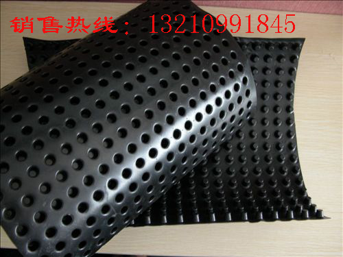 供應(yīng)三維復(fù)合排水網(wǎng)/復(fù)合排水網(wǎng)用途廣/高質(zhì)量排水網(wǎng)