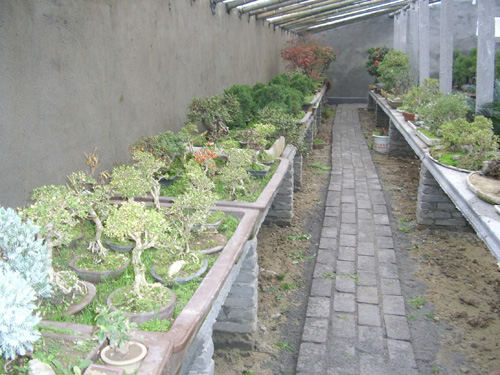 園林綠化設計|山東省園林綠化設計廠家|濰坊市園林綠化設計|公園綠化