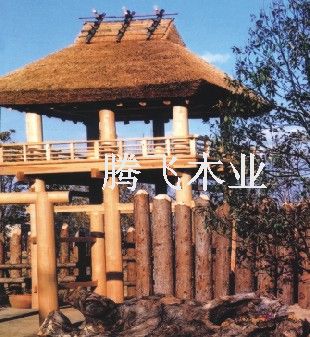 戶外景觀