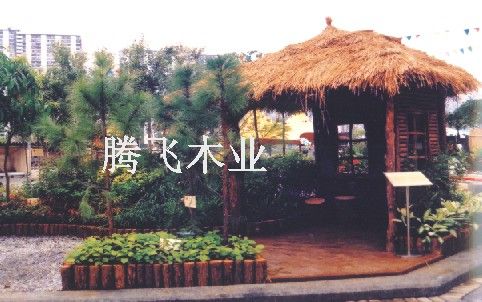 戶外景觀