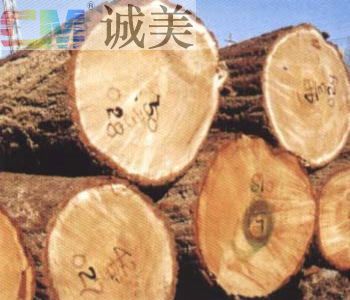 提供煙臺(tái)雙面自粘聚合物改性瀝青防水卷材|中山誠美涂料9