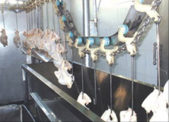供應(yīng)花生米 蠶豆油炸機(jī) 鵬福特牌油炸機(jī) 品質(zhì){zy1}
