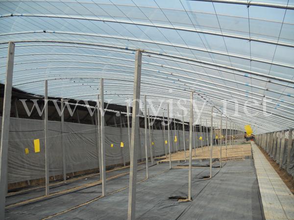 山東溫室大棚建設，壽光溫室大棚建設，溫室大棚建設產品供應-壽光大宇舜龍工程