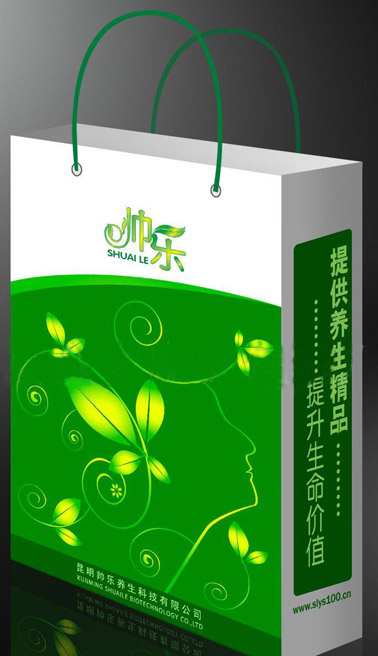 長久供應購物紙袋，購物袋價格，購物袋生產廠家，gd紙袋。