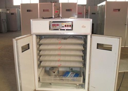 供應孵化機51優惠 全自動孵化機51優惠 微電腦孵化機 孵化設備