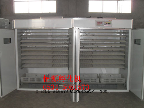 供欒城中型孵化機，型號齊全孵化機，禽蛋孵化機