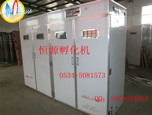 鴿子孵化機(jī) 鴿子孵化設(shè)備 /鴿子孵化機(jī) 