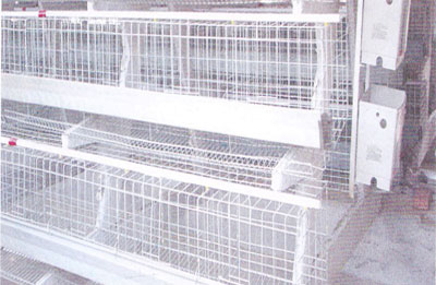 日照畜牧籠具，供應(yīng)畜牧籠具，畜牧籠具市場，五蓮畜牧籠具