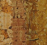 東莞PU皮料有限公司