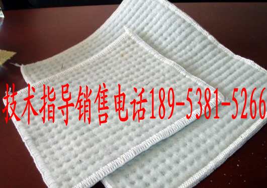 批發(fā)供應(yīng)膨潤(rùn)土防水毯，膨潤(rùn)土防水毯廠家，膨潤(rùn)土防水毯找張聰好