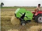 家用打漿機 青飼料打漿機 青草打漿機 小型打漿機 9