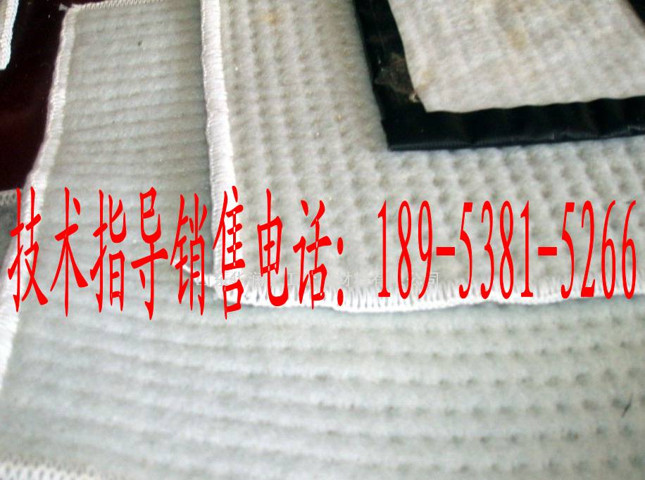 供應鈉基膨潤土防水毯，鈉基膨潤土防水毯廠家，覆膜膨潤土防水毯