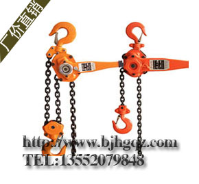 裝修微型電動葫蘆 東洋環(huán)鏈電動葫蘆 防爆電動葫蘆懷鴿【北京】分公司供應