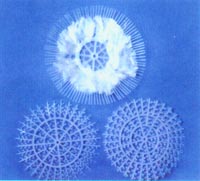 浙江填料-多孔旋轉球型懸浮填料-懸浮生物填料