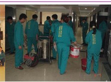 專業(yè)除四害消毒殺蟲服務有限公司