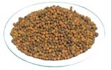 河北陶粒濾料廠家，河北陶粒濾料報(bào)價(jià)，陶粒濾料用途